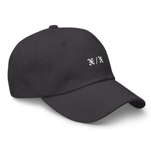 X/X HAT